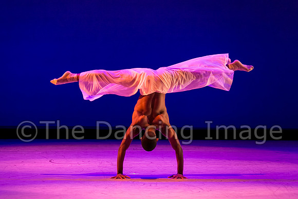 Jared Brown-4851