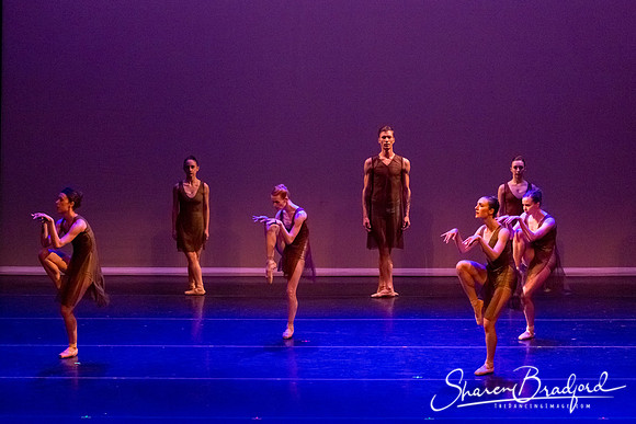 Ballet Dallas Seasons pc Sharen Bradford-1435