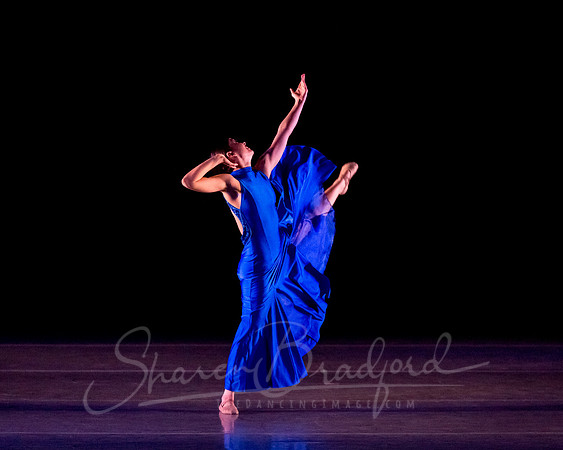 Following Echoes - pc Sharen Bradford-3290