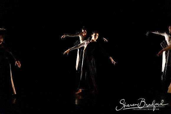 Luminous pc Sharen Bradford-40325