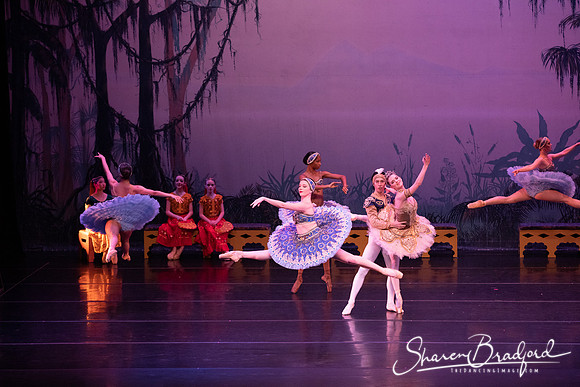 TDC La Bayadere pc Sharen Bradford-3174