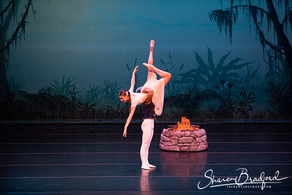 TDC La Bayadere pc Sharen Bradford-2620