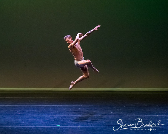 Ballet Dallas Seasons pc Sharen Bradford-1611