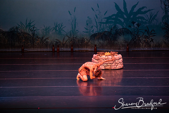 TDC La Bayadere pc Sharen Bradford-2405