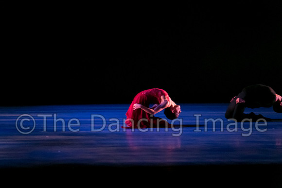 Chado Danse-2812