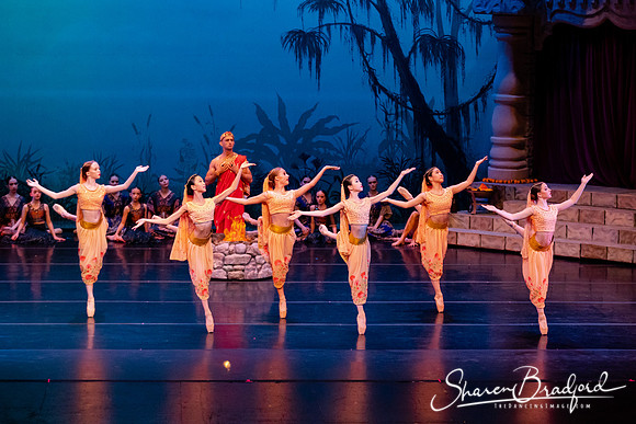 TDC La Bayadere pc Sharen Bradford-2476