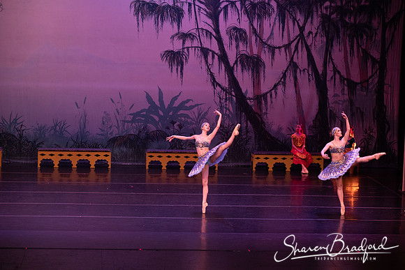 TDC La Bayadere pc Sharen Bradford-3063