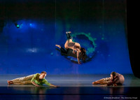Motionhouse SCATTERED-0188