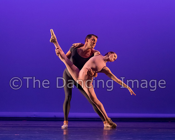 Dream on a Cirrus Sky-6496
