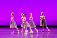 Orchid in Spring-0671