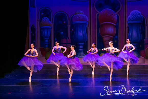 Waltz of the Flowers pc Sharen Bradford-1775