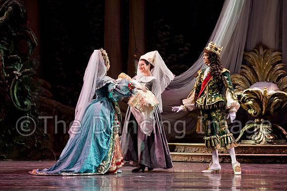 TB Sleeping Beauty Wed.-0009