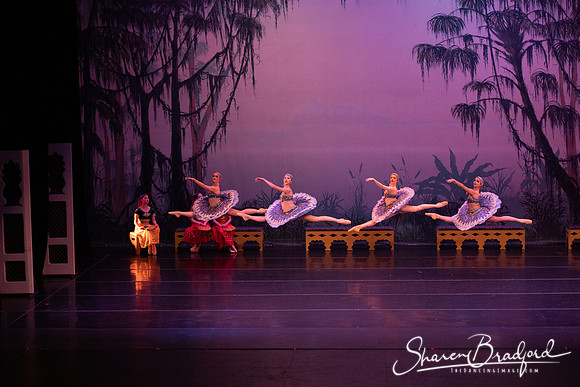 TDC La Bayadere pc Sharen Bradford-3084