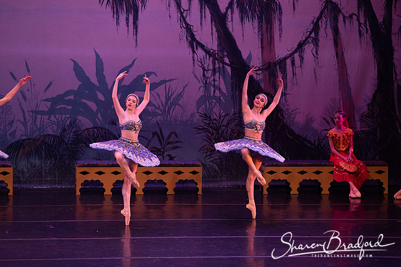 TDC La Bayadere pc Sharen Bradford-3082