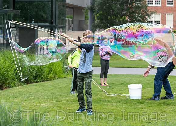 DAD Block Party pc Marty Sohl-5462