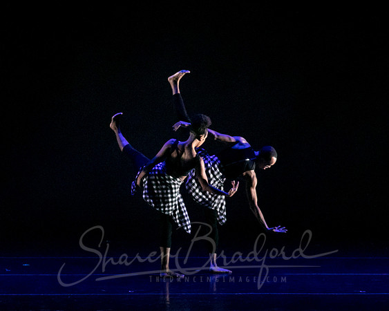 DBDT pc Sharen Bradford-2846