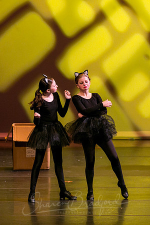 Feline Beat-2555