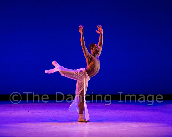 Jared Brown-4808