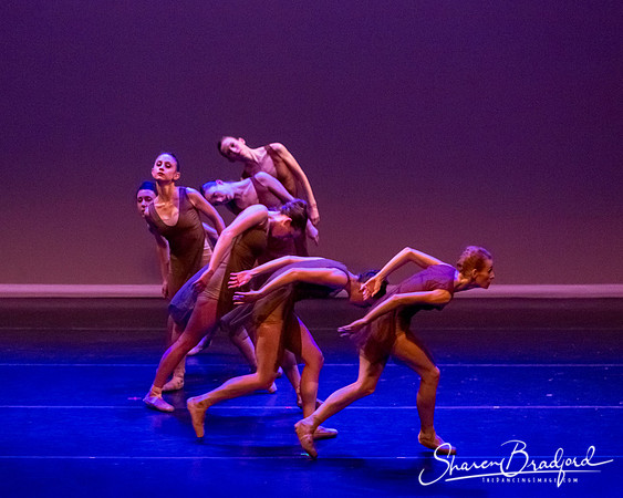 Ballet Dallas Seasons pc Sharen Bradford-1488