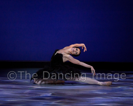 Olga Pavlova_The Dying Swan-3897