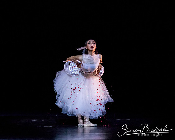Beijing Dance Theater pc Sharen Bradford-0142