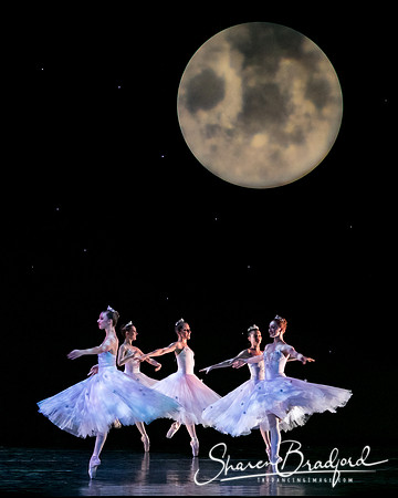 Nutcracker eve pc Sharen Bradford-6785