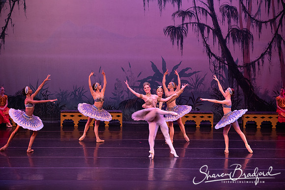 TDC La Bayadere pc Sharen Bradford-3201
