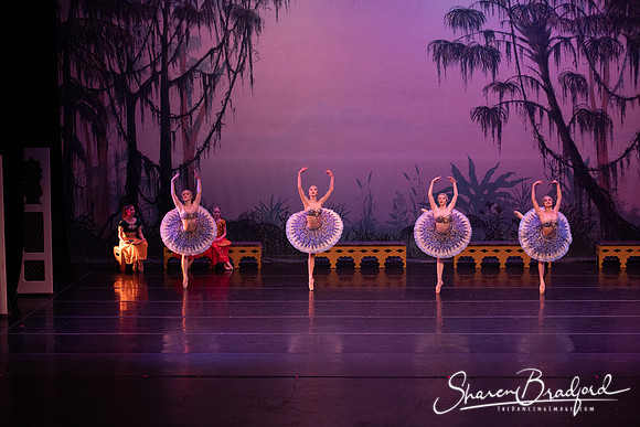 TDC La Bayadere pc Sharen Bradford-3092