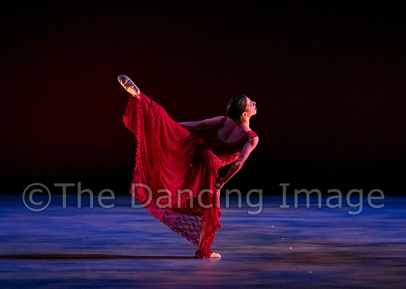 Chado Danse-2878