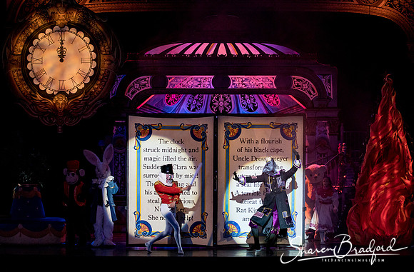 Nutcracker matinee pc Sharen Bradford-4800