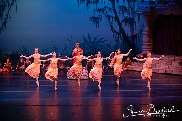 TDC La Bayadere pc Sharen Bradford-2471