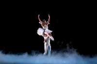 ASFB Nutcracker pc Sharen Bradford-0053
