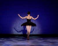 Olga Pavlova_The Dying Swan-3829