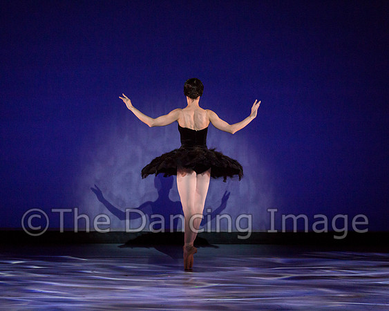 Olga Pavlova_The Dying Swan-3829