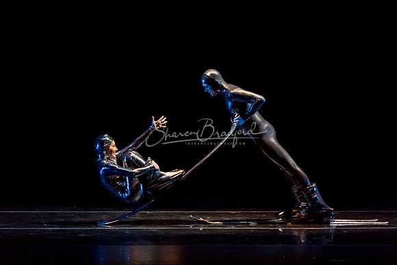 Millennium Skiva pc Sharen Bradford-8536