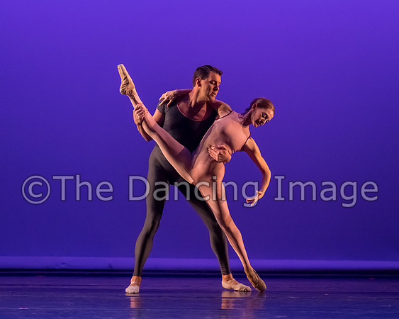 Dream on a Cirrus Sky-6494