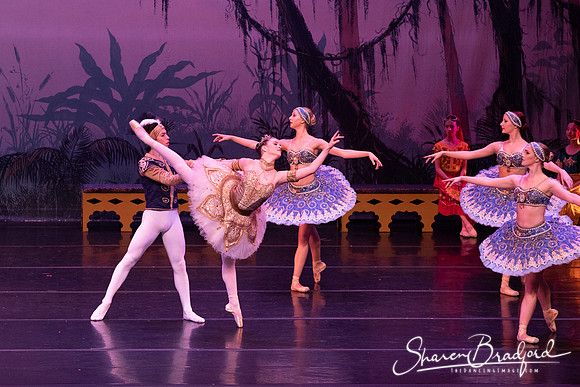 TDC La Bayadere pc Sharen Bradford-3189