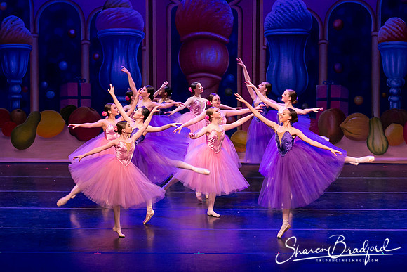Waltz of the Flowers pc Sharen Bradford-1857