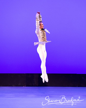 TBT Sleeping Beauty Pas pc Sharen Bradford-1558