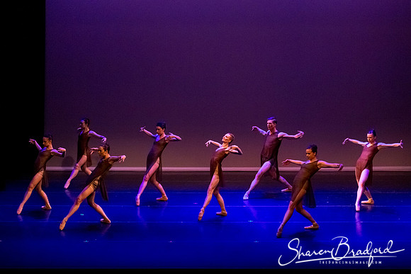 Ballet Dallas Seasons pc Sharen Bradford-1512