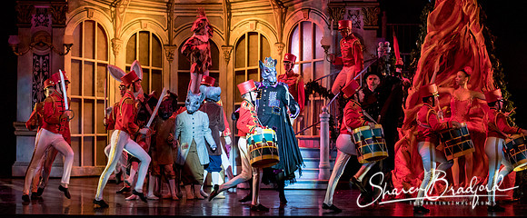 Nutcracker matinee pc Sharen Bradford-4826