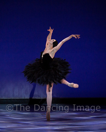 Olga Pavlova_The Dying Swan-3904