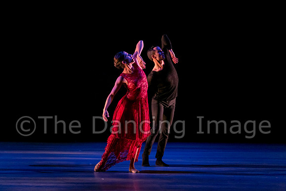 Chado Danse-2804