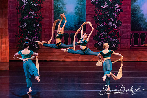 TDC La Bayadere pc Sharen Bradford-2775