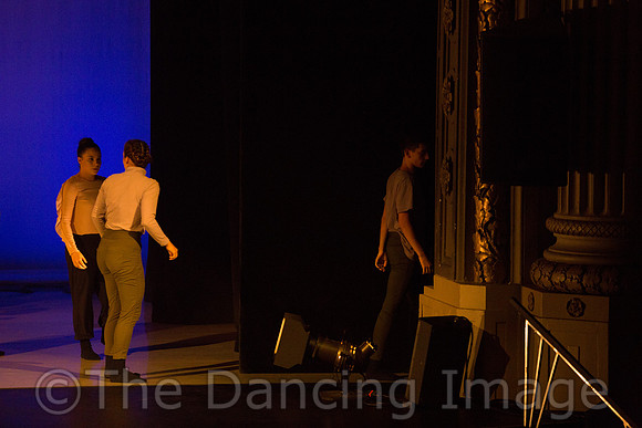 Coalescence in Progress-3267