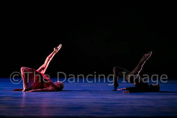 Chado Danse-2818