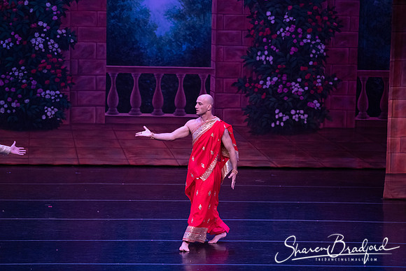 TDC La Bayadere pc Sharen Bradford-2794