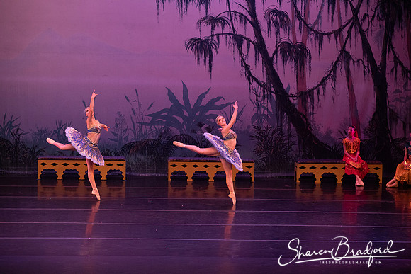 TDC La Bayadere pc Sharen Bradford-3068