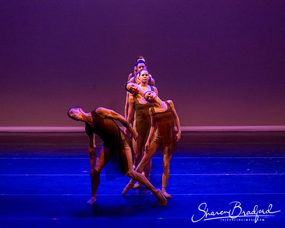 Ballet Dallas Seasons pc Sharen Bradford-1484