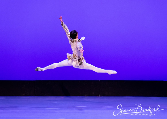 TBT Sleeping Beauty Pas pc Sharen Bradford-1498